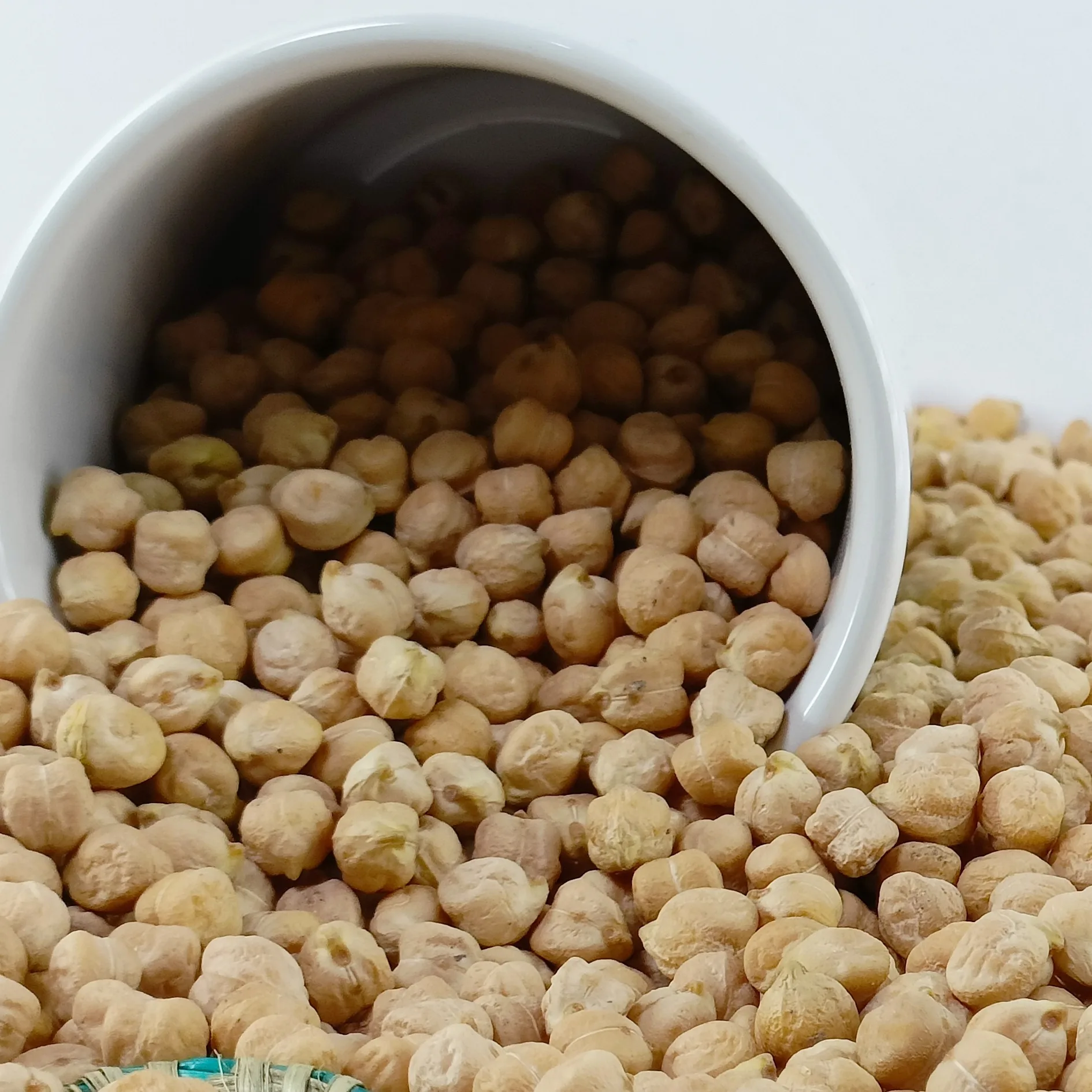 High Standard Chickpeas, Fresh Crop 2024  Factory Direct Excellent Quality, Good for Health, Bulk Orders Accepted