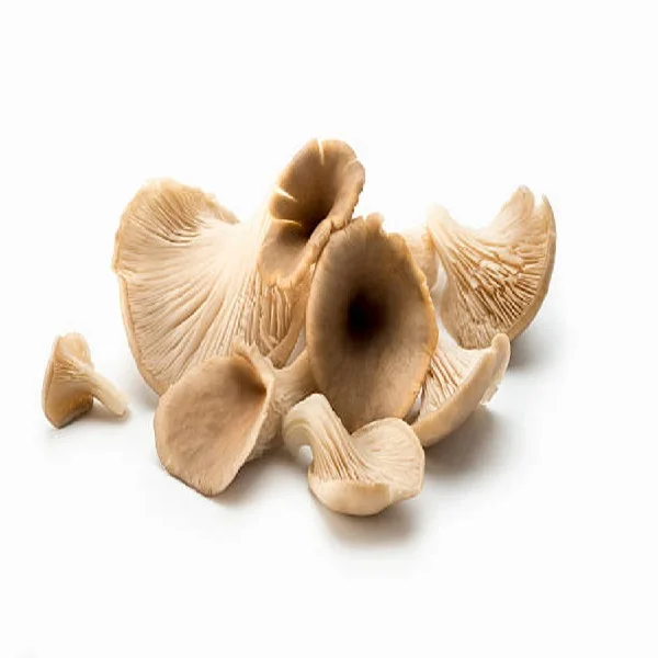 Oyster Mushrooms Liquid  at  Low Price  indian exporter of Oyster Mushrooms Liquid