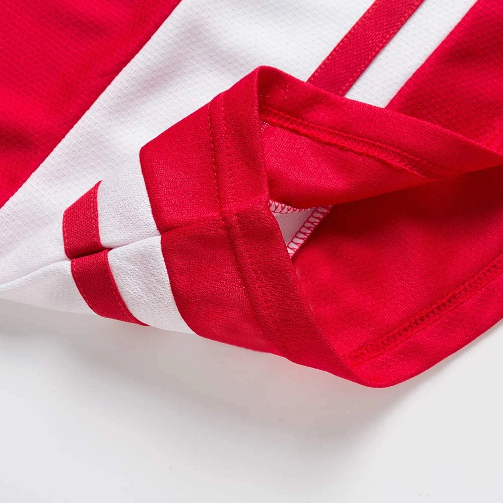 Men Long Sleeve Sports Wear Ice Hockey Jersey In Reasonable Price / 2022 Best Selling Ice Hockey Jersey