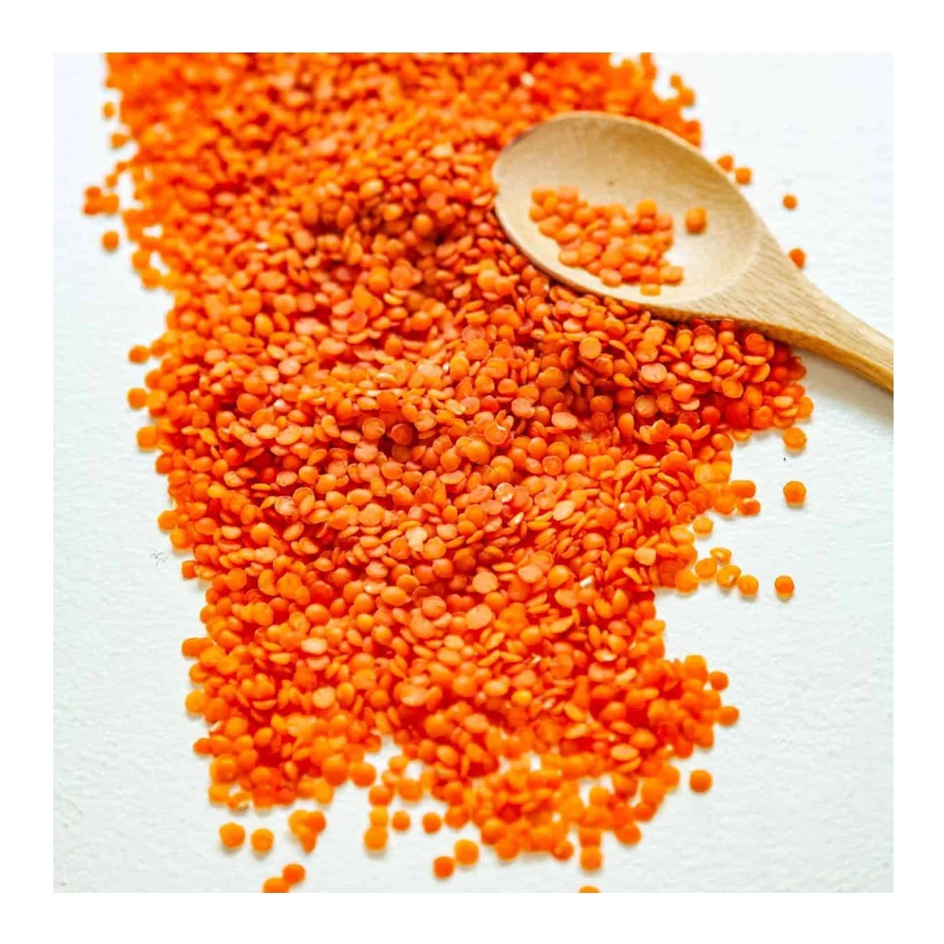 High Quality Organic Canadian Whole Red Lentils / Split Red Lentils Available For Sale At Low Price
