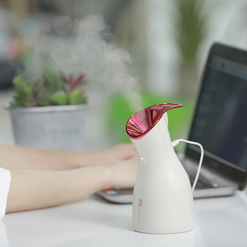 Hot Sale Household Appliances Face Care Vapor Facial Steamer Professional  Home Use Beauty Equipment Facial Steamer