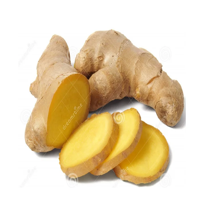 Premium Fresh Ginger High Quality Thai Vegetable from Thailand Hight Grade Fresh Ginger in Carton