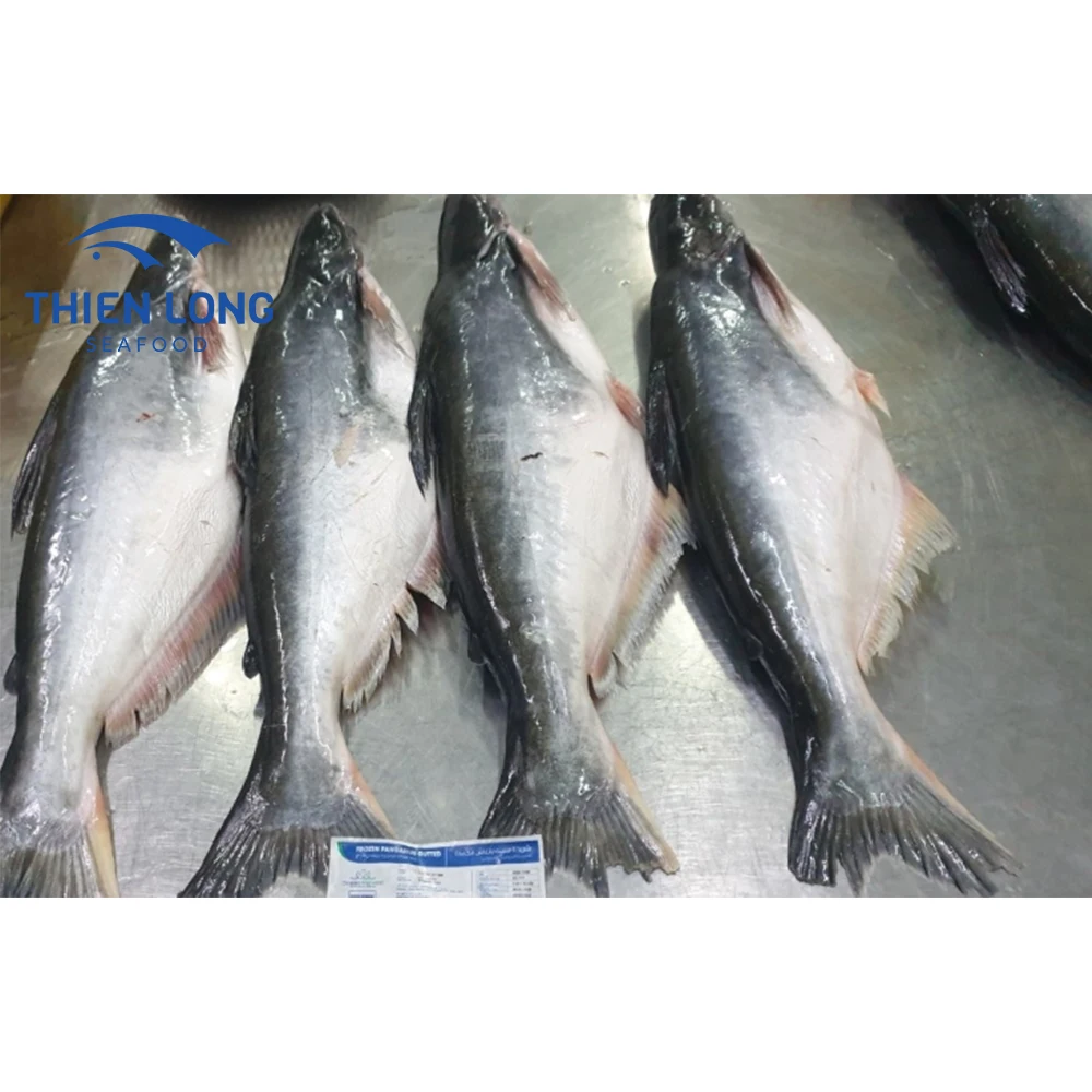 Wholesale Best Price 100% Frozen Pangasius Fish from Vietnam