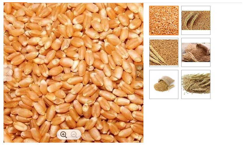 wheat2.PNG