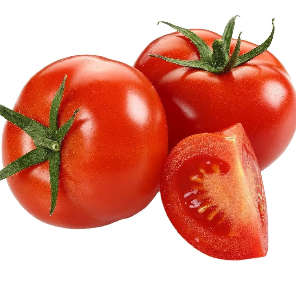 High Quality Best Taste Wholesale Organic Bulk Attractive Red Tomatoes %100 Natural Delicious From Indian Supplier