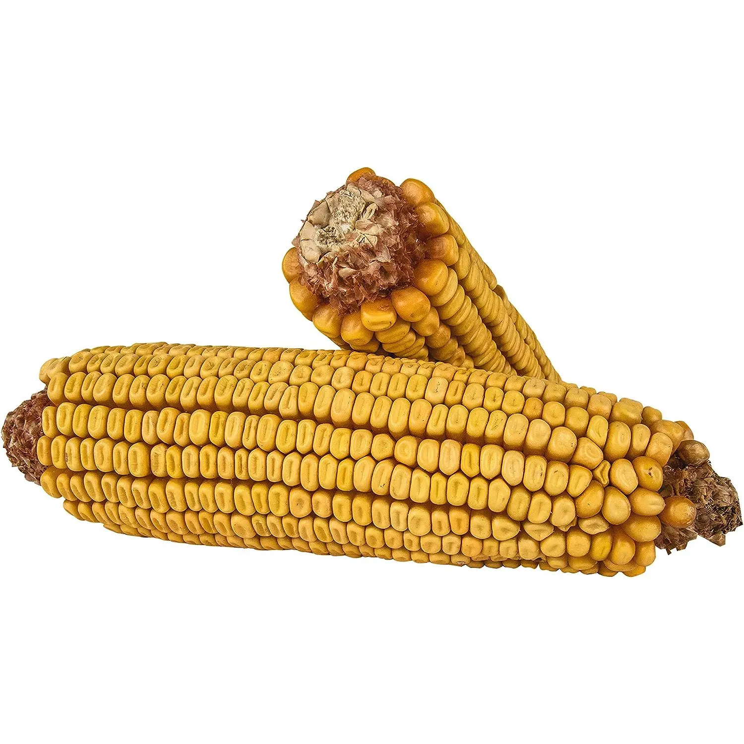 Premium Yellow Maize Corn for Animal Feed and Popcorn Varieties Yellow Corn for Animal Feed Wholesalers Suppliers