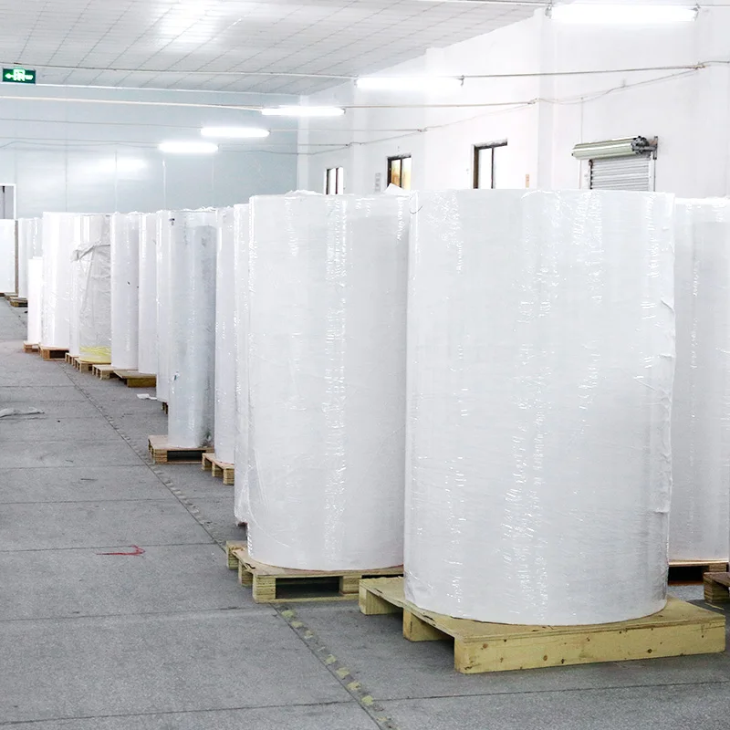 Полуглянцевая прямая эко-полипропиленовая 40,5 см 55 ГМС 48 г/м самоклеящаяся передача доставка a4 термоэтикетка jumbo roll