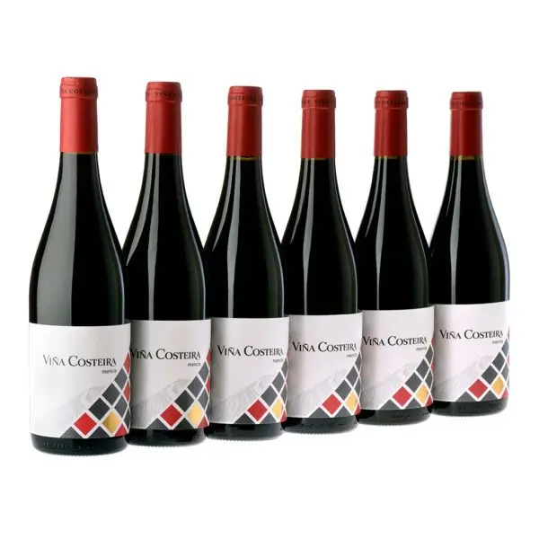 High Quality Red Wine from Spain | Brand Vina Costeira Mencia 2021 | DO Valdeorras | 750ml glass bottle