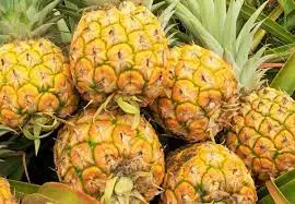 pinessss.jpg