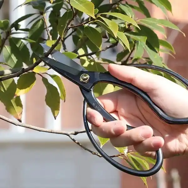 Home Linyi Shears Pruner Wholesale Supplier Professional Gardener Scissors