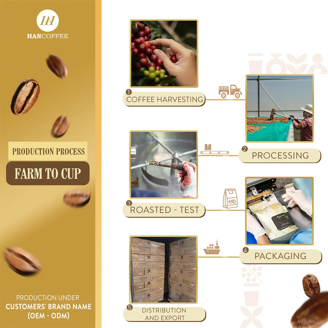 Arabica Robusta Coffee Beans Hot Sale Classic Mocha Flavor Ethiopia Roasted Coffee Bean Wholesale Price Best Seller