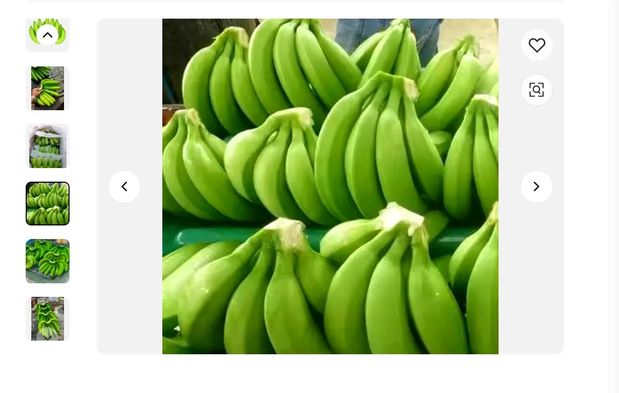 Factory Price For Fresh Cavendish Bananas From Ecuador
