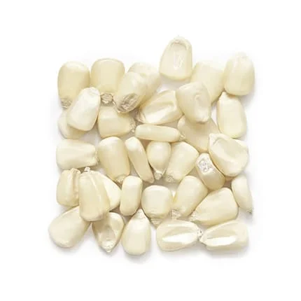 White Corn8.jpg