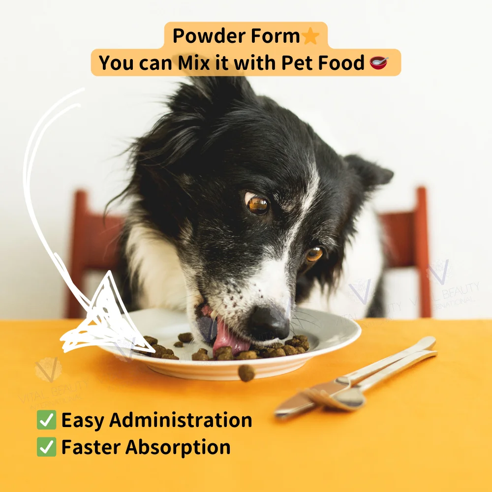 100% Natural Pet Immunity Powder Sachets with Custom Logo Stronger Immune System Booster for Dogs and Cats