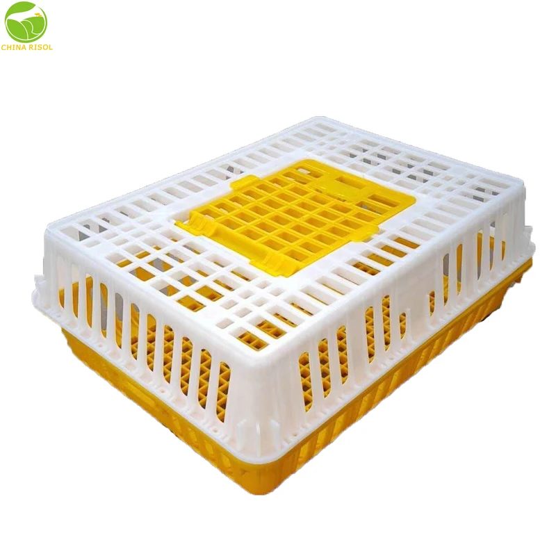 High quality poultry or chicken plastic transport cage