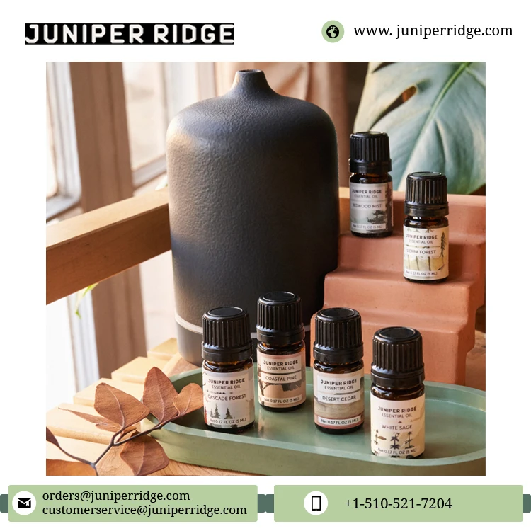 Exporting High Quality Organic and Natural Aromatherapy White Sage Essential Oil - 5 ml for Wholesale Purchase