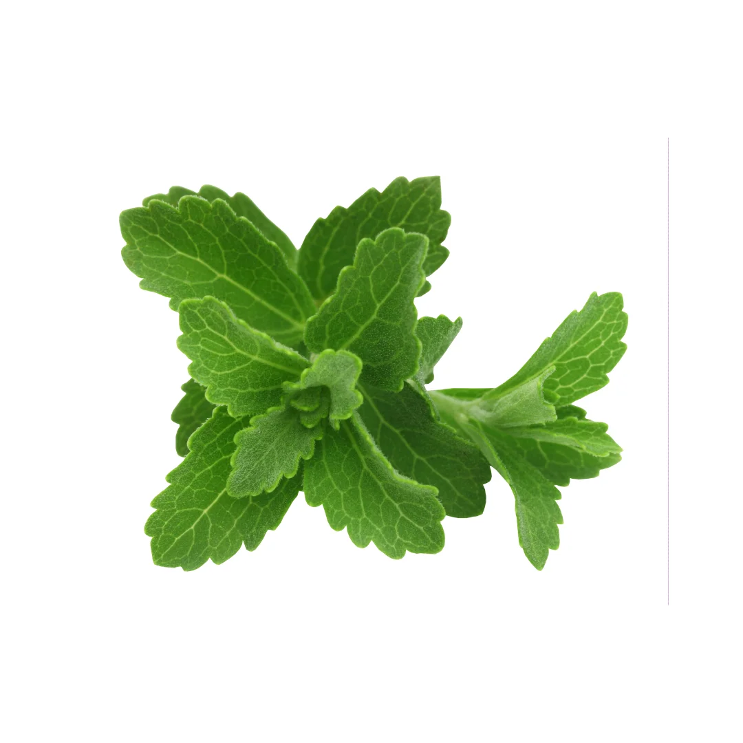 Stevia Leaves 1.png
