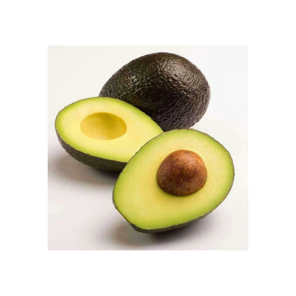 Organic Hass Avocado Fresh Bulk Supply from Europe Yummy Avocado for Sale