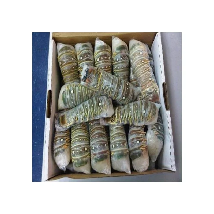 High Consumption Seafood Product Fresh Frozen Rock Lobster Selling Frozen Lobsters