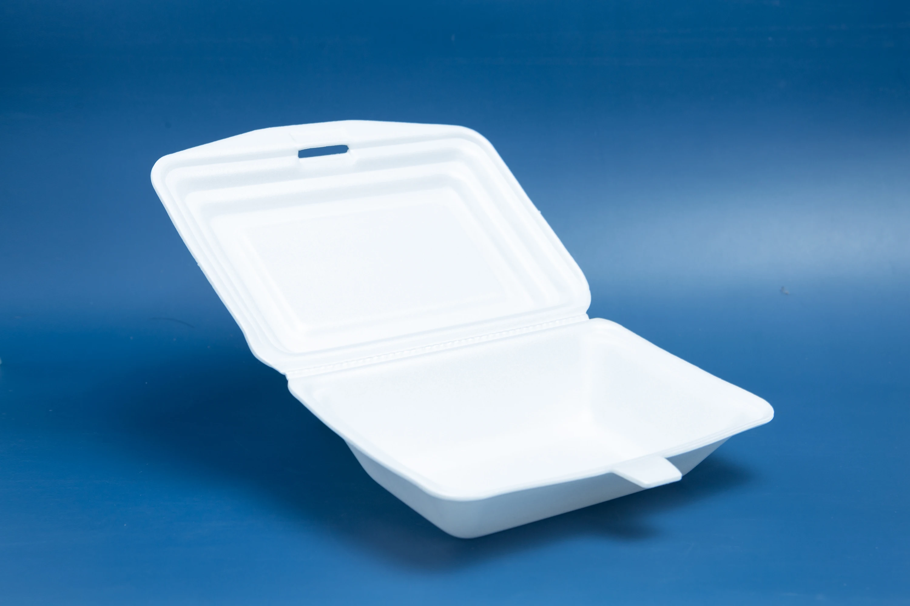 Low Price Ready to Ship Disposable PS Foam Food Container Take Away Lunch Box White Color Exported Form Vietnam