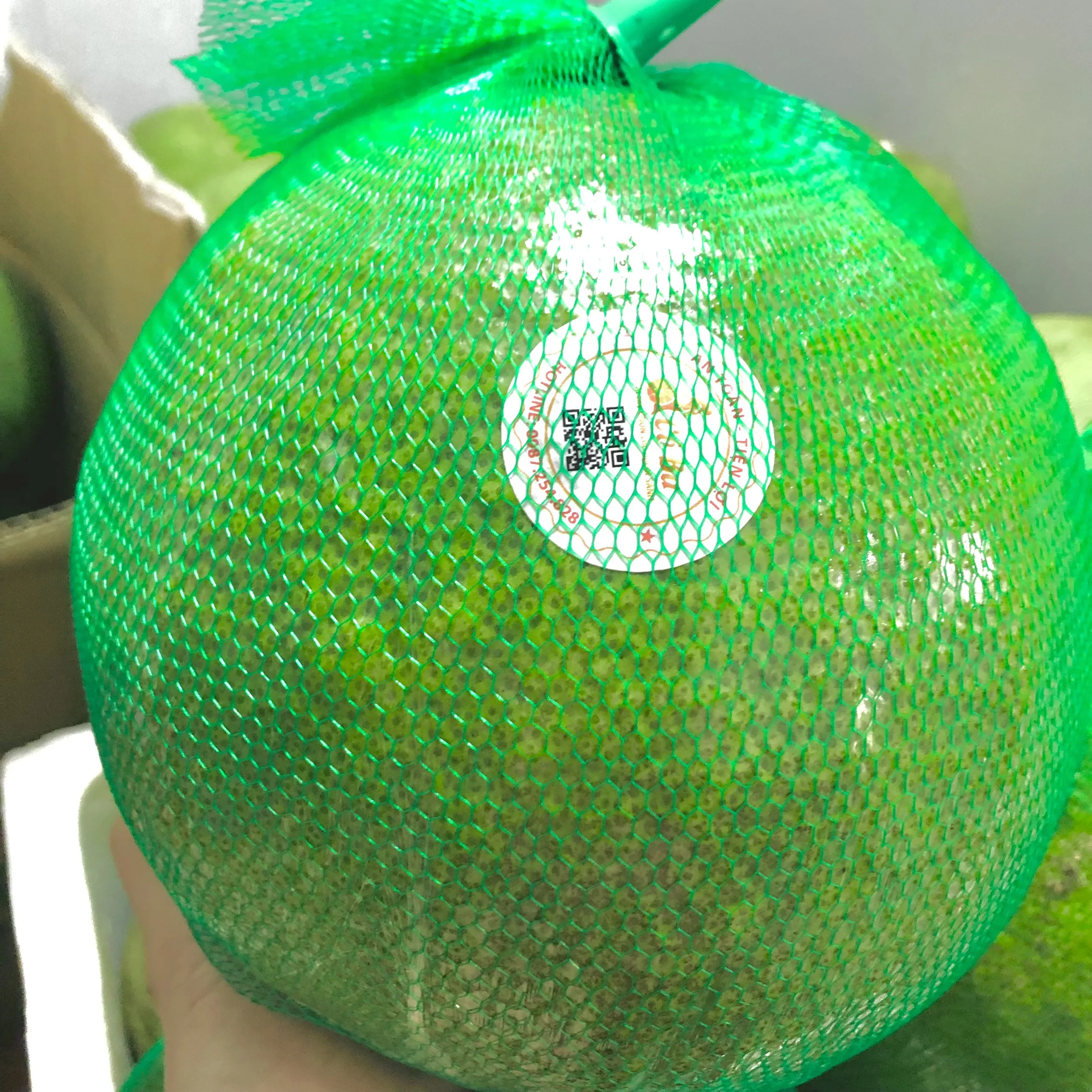 Vietnam top quality pink flesh pomelo new crop season