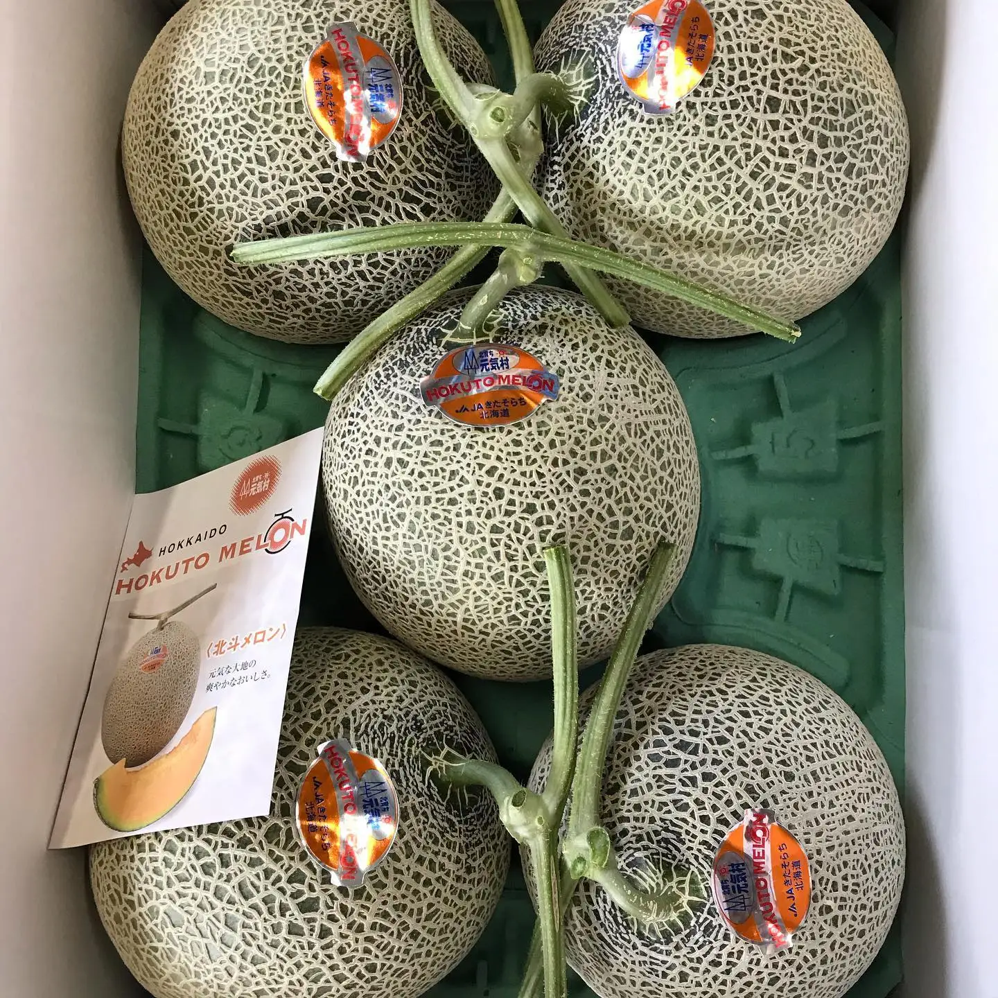 Bulk Fresh Japanese Red Flesh Dream Red Musk Melon