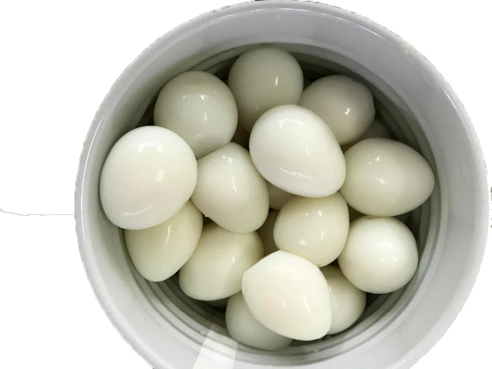 ELITE CANNED QUAIL EGGS / SAVORY AND NUTRITIOUS / MADE IN VIETNAM