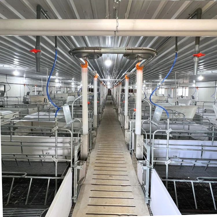 Good quality pigsty farrowing pen at good price farrowing crates pigs  Stainless Steel  from Vietnam Cheap High Quality