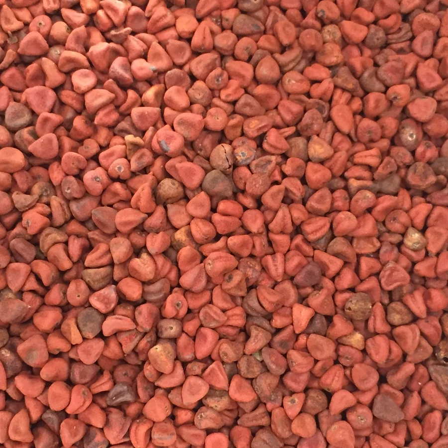 NATURAL ANNATTO SEEDS FROM INDIA  SUPPLIER FOR SPICE AND SEASONING NEW CROP 2023 ANNATTO COLOR FOOD SEEDS