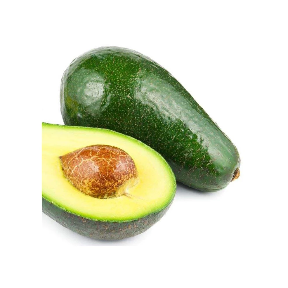 FRESH AVOCADO with HIGH QUALITY and BEST PRICE