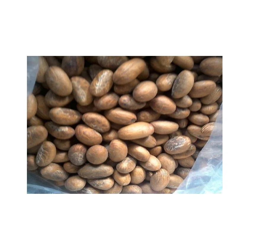kolanut) Bitter kola,garcinia kola-bitter kola,kola nut bitter/African Bitter kola