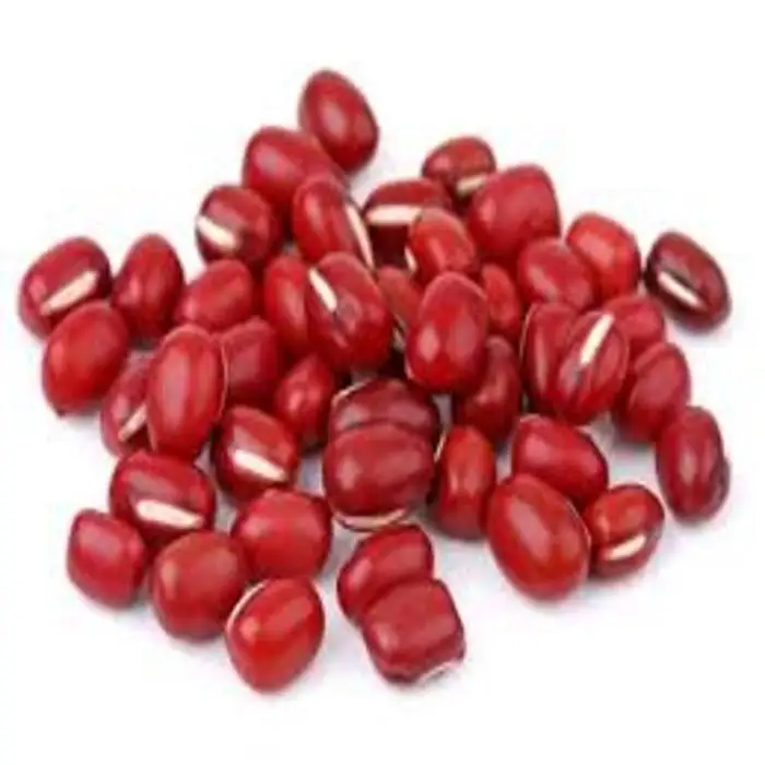 Premium Grade Organic Adzuki Bean Fresh Red Beans Good For Health Halal Suitable For Baking and Cooking
