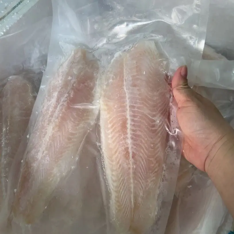 Nutritious Seafood - Frozen Basa Fish/Pangasius Made From 100% Fresh Catfish in Vietnam  at the Best Price and Top Quality