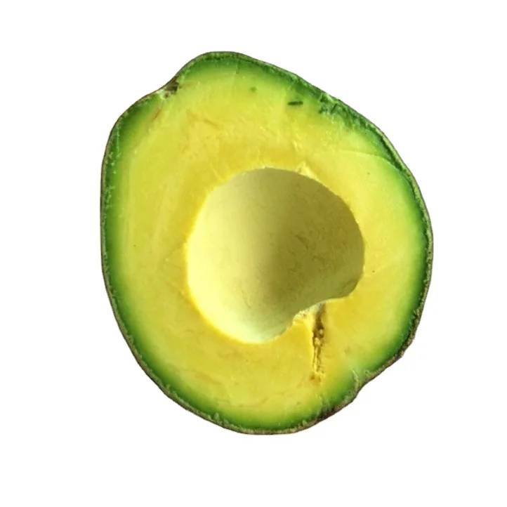 Good Quality Fresh Avocado / Hass Avocado Fuerte Avocado For Sale