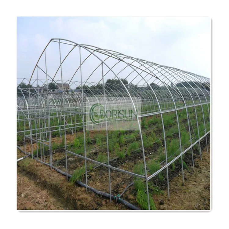 Tomato Strawberry Plastic Film Tunnel Singlespan Agricultural Greenhouse Farm For Sale