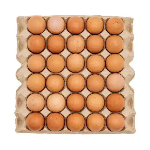 Fresh White and Brown Shell Chicken Eggs Table Organic Fresh Chicken Table Eggs