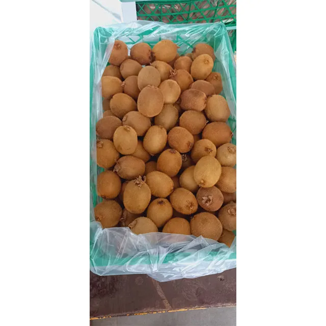 Top Sale Sweet Kiwi Fruit Peeled Frozen Kiwi IQF Export Factory Price Wholesale Egypt Kiwi Fruit Premium Grade