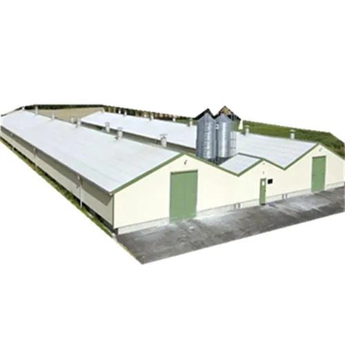 Large Span Steel Structure Fabrication Chicken Shed