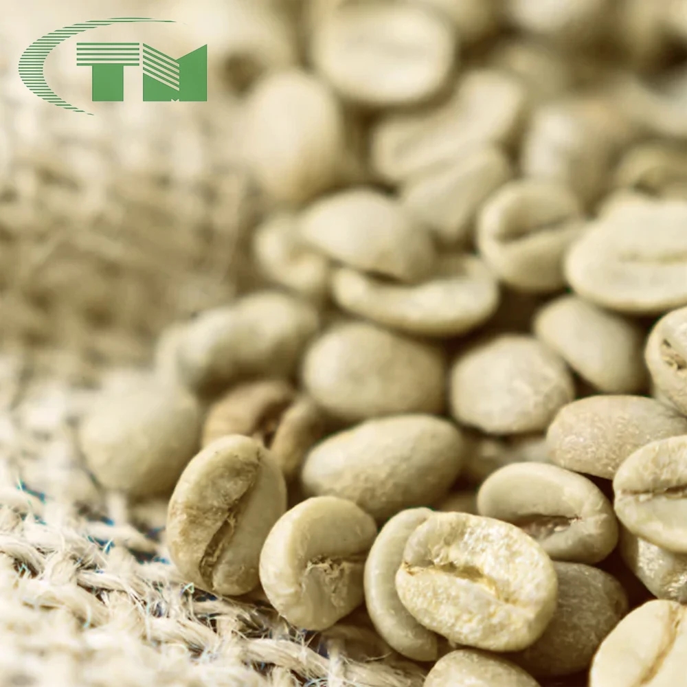Vietnam Coffee Bean Raw 100% Pure Robusta G Manufacturer Wholesale New Crop Seasoning Raw Top Spices & Herbs Product best price