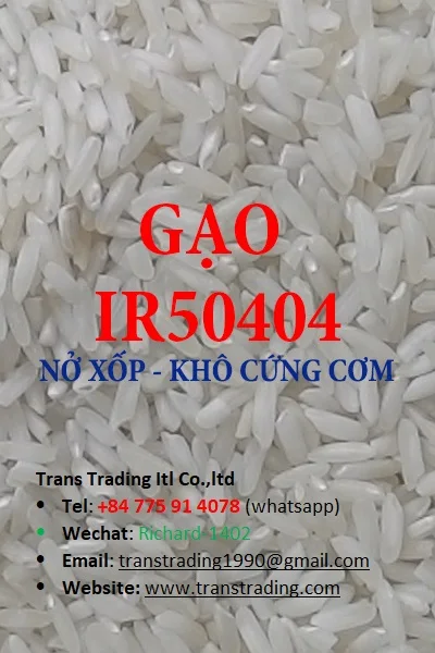 High Quality Best Price Manufacturer white rice wholesale Vietnamese Long Grain White Rice IR504 from Vietnam