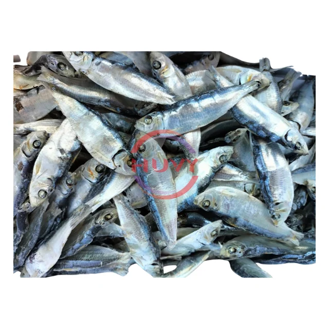 Wholesale Indian Mackerel Nature Fast Delivery Herring Fish Dry Herring Sea Food Factory Price OEM Service Made In Vietnam