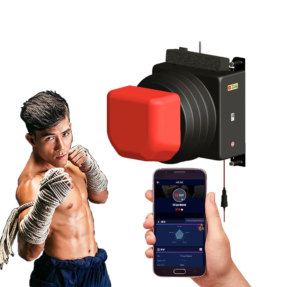Smart Wall-Mounted Boxing Training Machine with High-Tech AI, Accurate Punch Force, Music-Driven Workouts for Home, Gym, Dojo