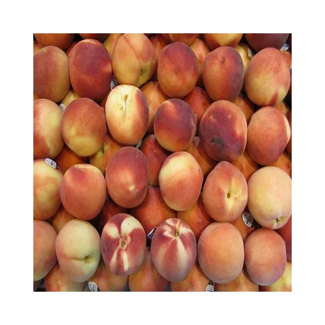 Selling Peaches Top Quality fresh fruit for Export Factory Sell Sweet Juicy Stone Fruit 100% Maturity Class A Natural Fresh