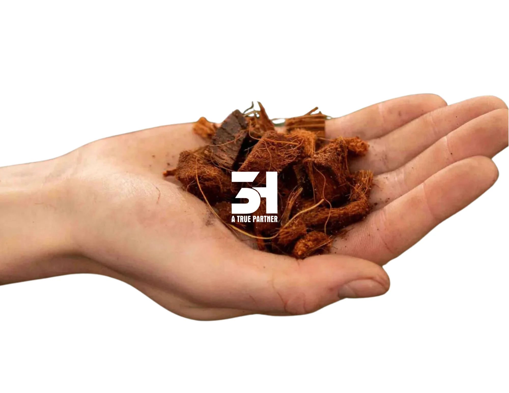 EXPERIENCE GARDENING BLISS WITH  PREMIUM COCONUT HUSK CHIPS FROM VIETNAM - ECO-FRIENDLY EXCELLENCE