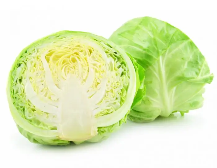 100% from Natural Cabbages with Premium Quality and Lowest Price Vietnam origin