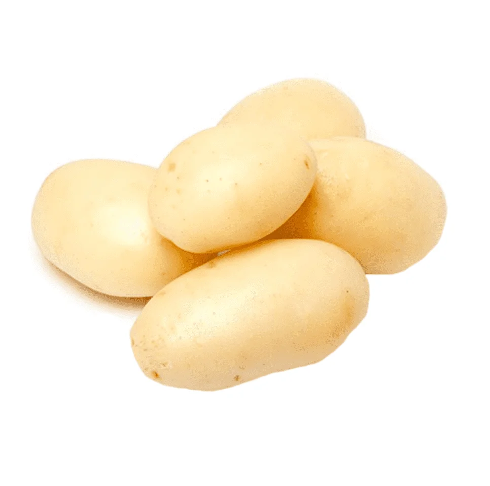 High quality 100% Organic fresh Potatoes from USA