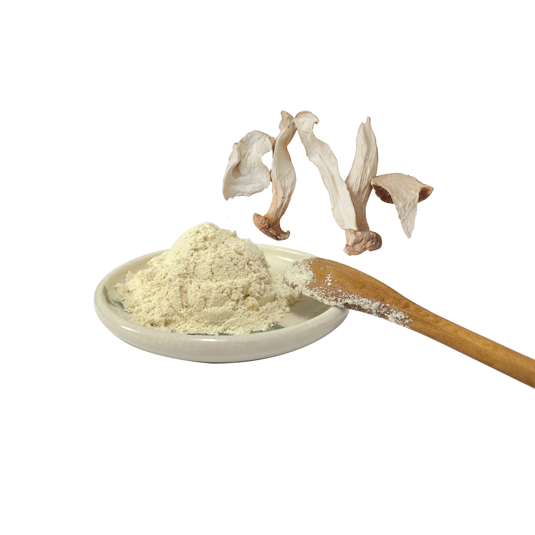 Vegan healthy organic oyster mushroom powder for seasoning