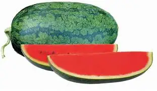 Красный Меллон заводская цена хорошее качество свежая арбуза от вьетнамского экспортера свежие овощи разумная цена готов к экспорту
