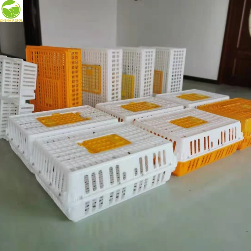 High quality poultry or chicken plastic transport cage