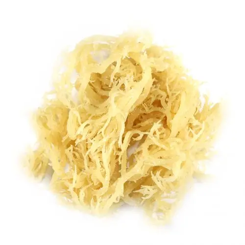 TW6 Brand Best Price Dried Sea Moss Irish Moss From Vietnam